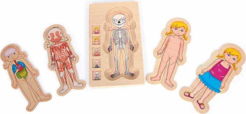 Dřevěná hračka Legler Anatomy Girl Legler
