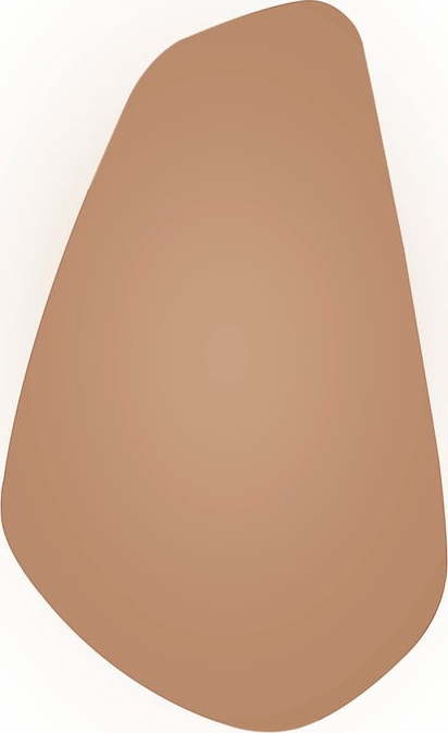 Hnědé nástěnné zrcadlo PT Living Organic Oval