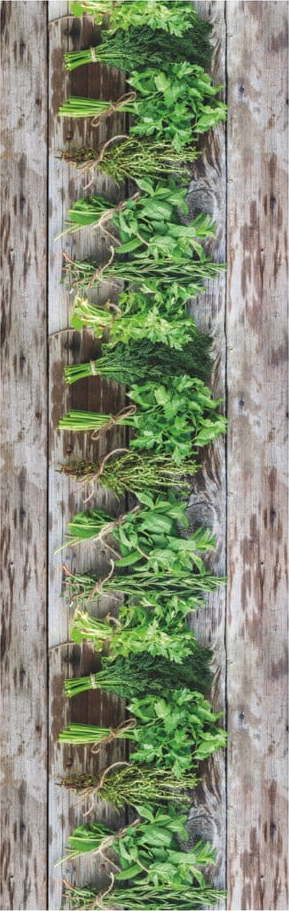 Hnědo-zelený běhoun Floorita Aromatica