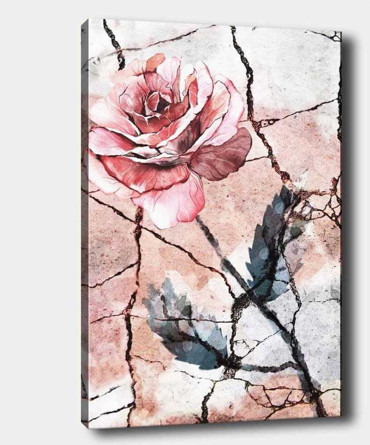Nástěnný obraz na plátně Tablo Center Lonely Rose