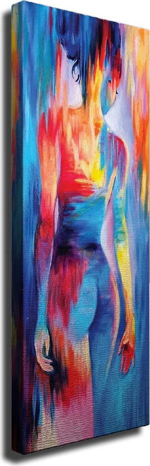 Nástěnný obraz na plátně Woman