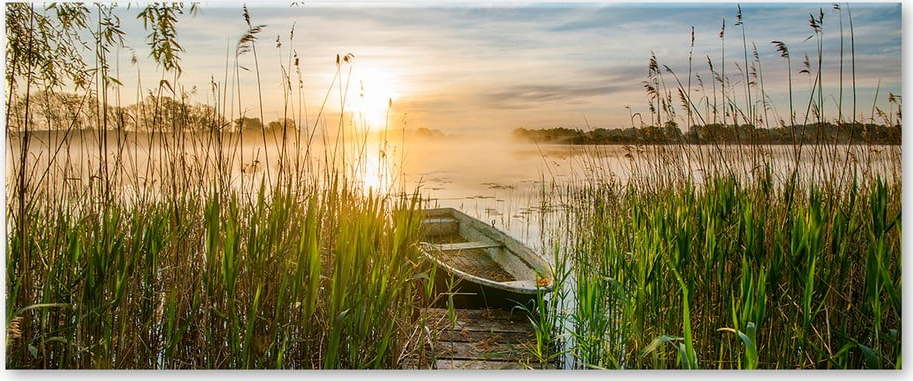 Obraz Styler Boat In The Grass