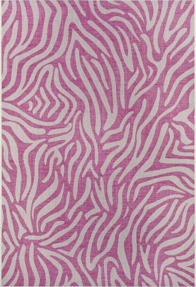 Růžovo-béžový venkovní koberec NORTHRUGS Cebra