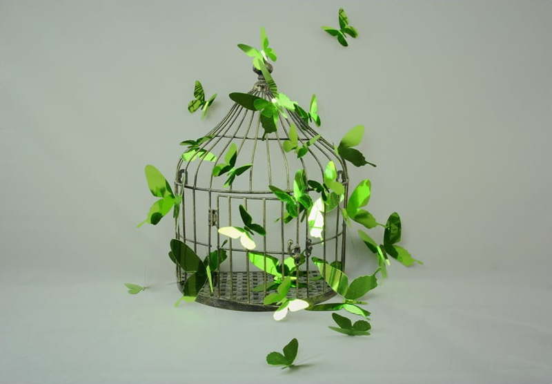 Sada 12 adhezivních 3D samolepek Ambiance Butterflies Green Ambiance