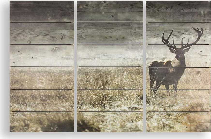Vícedílný dřevěný obraz Graham & Brown Highland Stag Graham & Brown