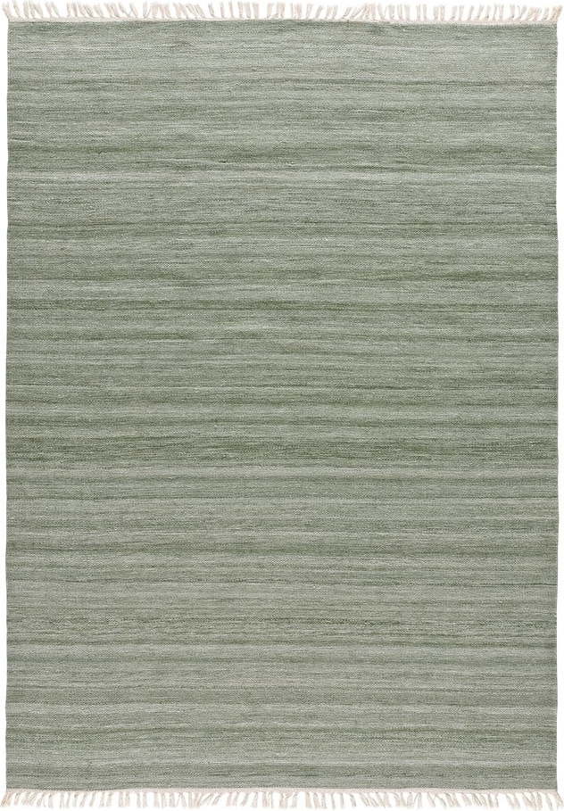 Zelený venkovní koberec z recyklovaného plastu Universal Liso