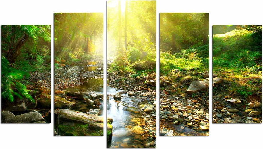 5dílný obraz Molly Wallity