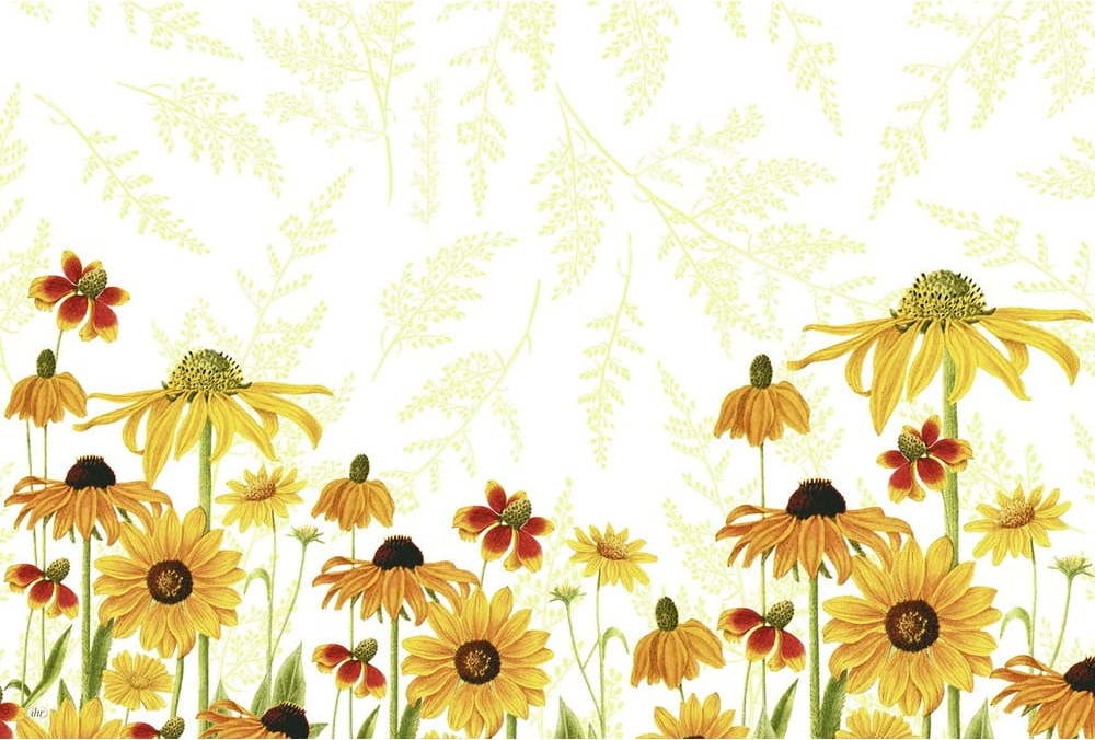 Plastové prostírání 43x29 cm Danielle - IHR IHR