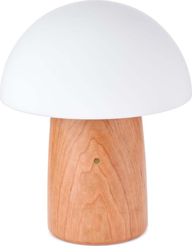 Stmívatelná stolní lampa v přírodní barvě se skleněným stínidlem (výška 32 cm) Alice – Gingko Gingko