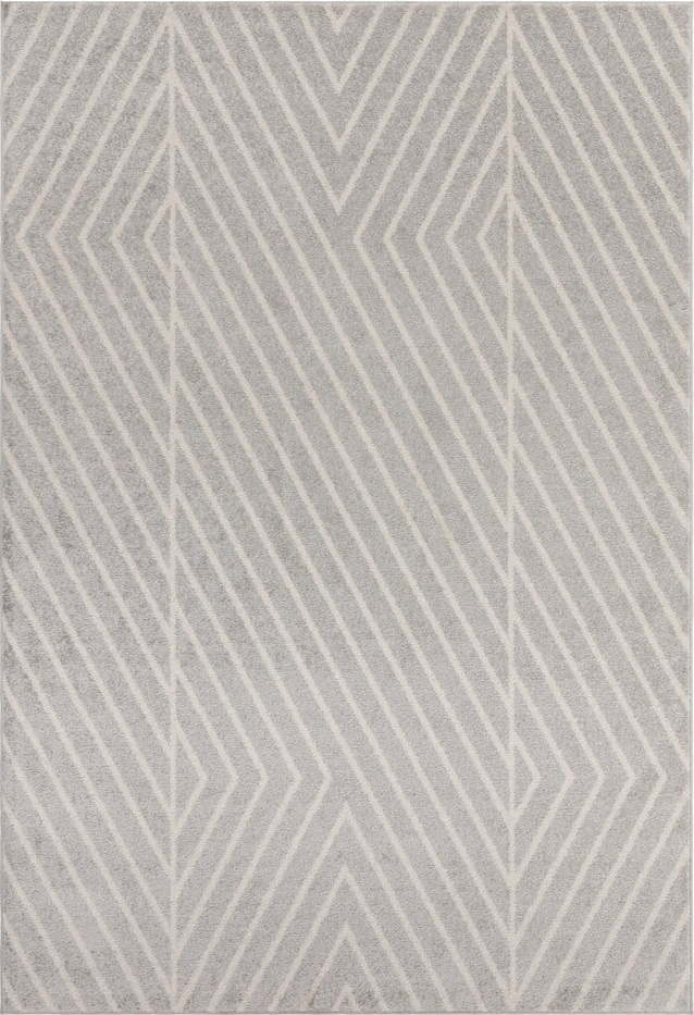 Světle šedý koberec 120x170 cm Muse – Asiatic Carpets Asiatic Carpets
