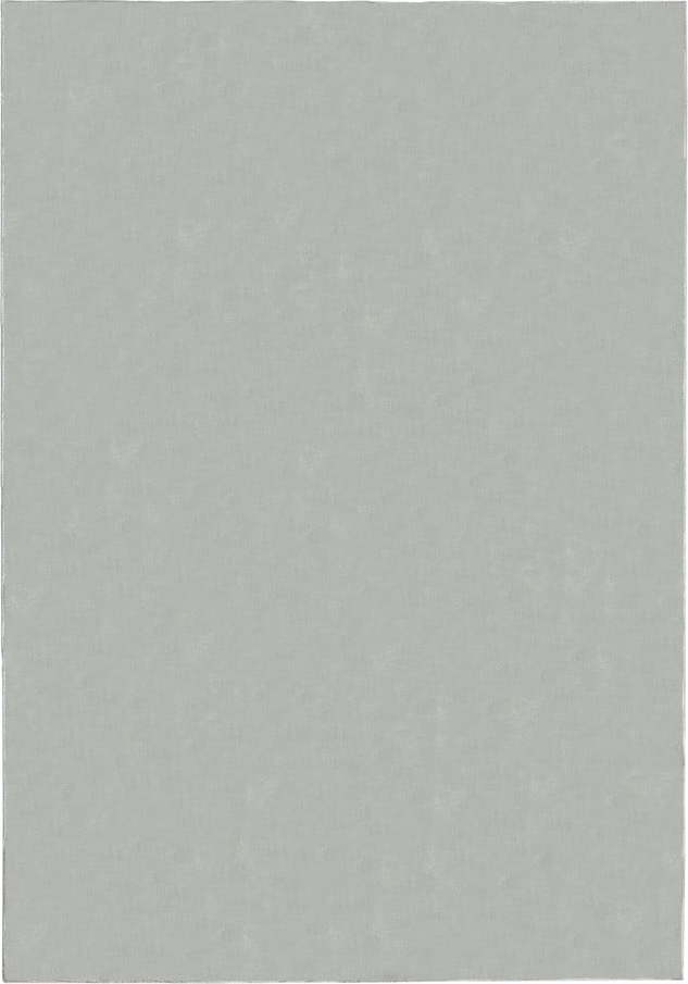 Světle šedý koberec 200x290 cm – Flair Rugs Flair Rugs