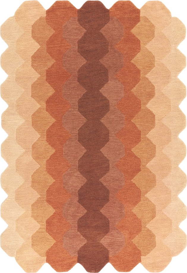 Vlněný koberec v cihlové barvě 200x290 cm Hive – Asiatic Carpets Asiatic Carpets