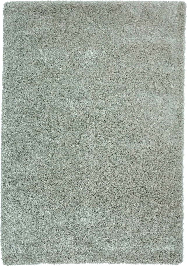 Světle zelený koberec 200x290 cm Sierra – Think Rugs Think Rugs