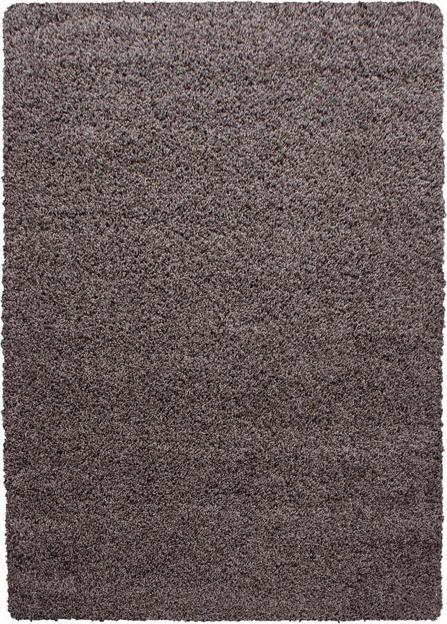 Hnědý koberec 140x200 cm Life – Ayyildiz Carpets Ayyildiz Carpets