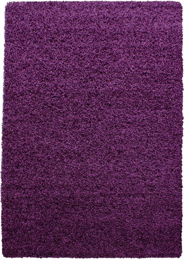 Tmavě fialový koberec 200x290 cm Life – Ayyildiz Carpets Ayyildiz Carpets