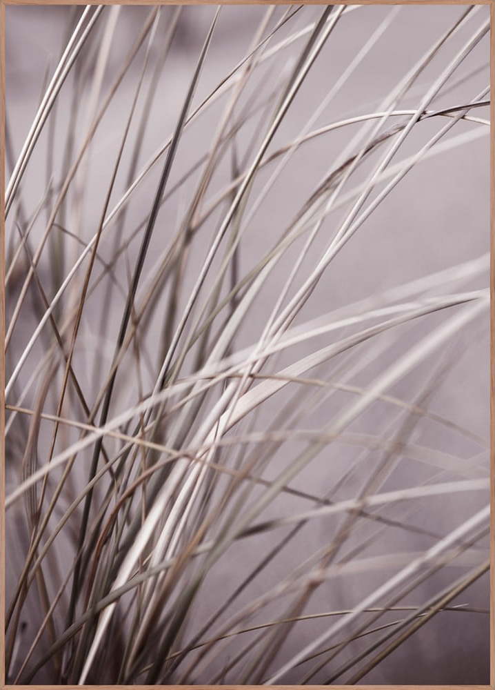 Obraz 50x70 cm Mellow Grasses 1 – Malerifabrikken Malerifabrikken