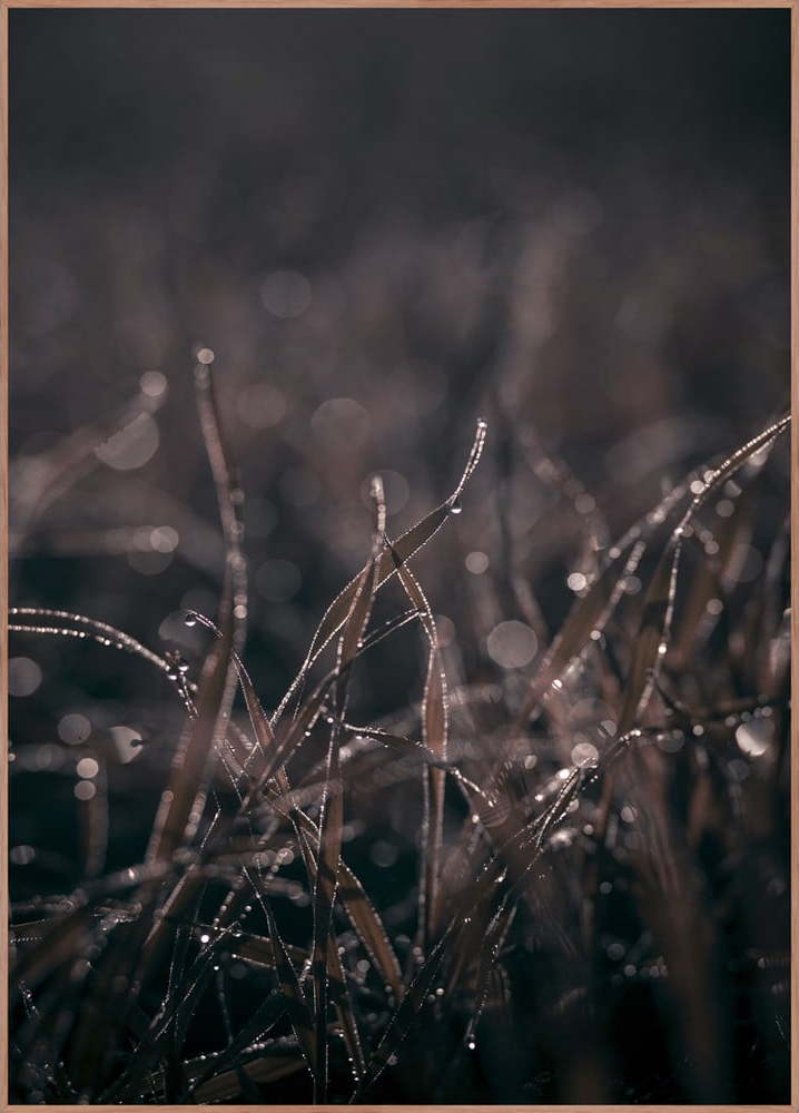 Obraz 50x70 cm Mellow Grasses 5 – Malerifabrikken Malerifabrikken
