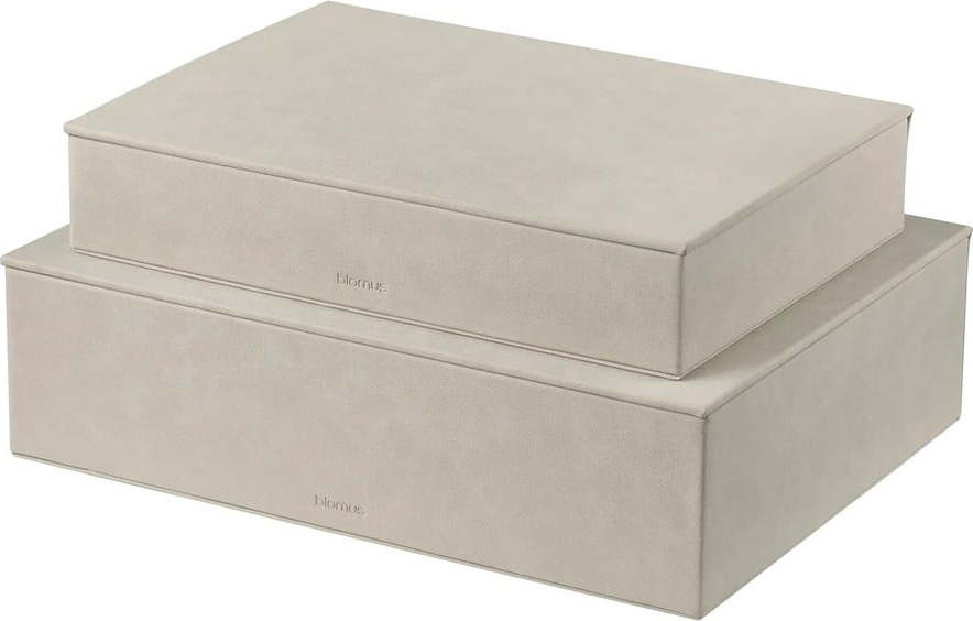 Béžové úložné boxy v sadě 2 ks s víkem z umělé kůže 40x30x11 cm Sahla – Blomus Blomus