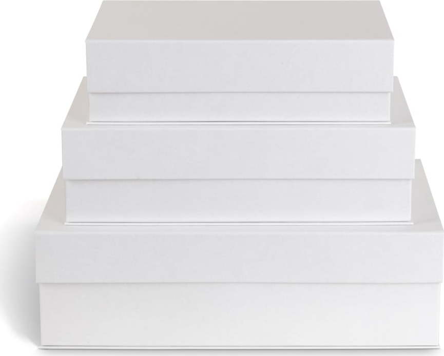 Bílé kartonové úložné boxy v sadě 3 ks s víkem 42