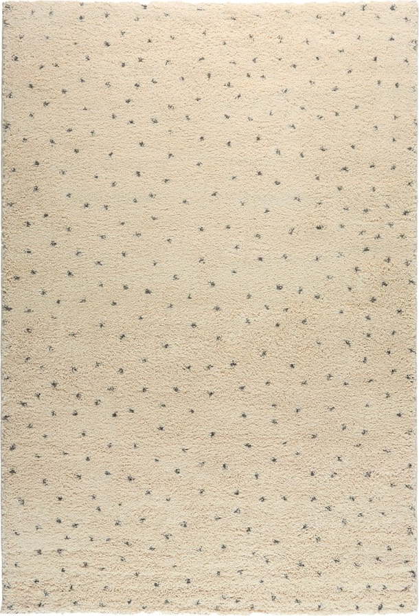 Černý/krémový koberec 80x150 cm Dottie Black – Universal Universal
