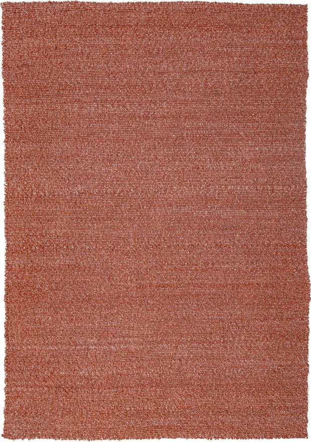 Ručně tkaný koberec v terakotové barvě 200x290 cm Finley – Flair Rugs Flair Rugs