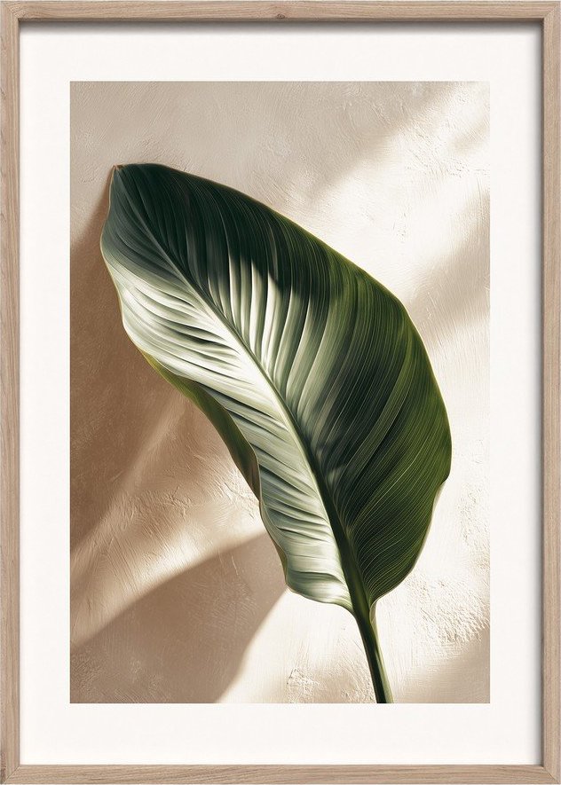 Tištěný obraz s rámem 50x70 cm Strelizia Leaf – Styler Styler