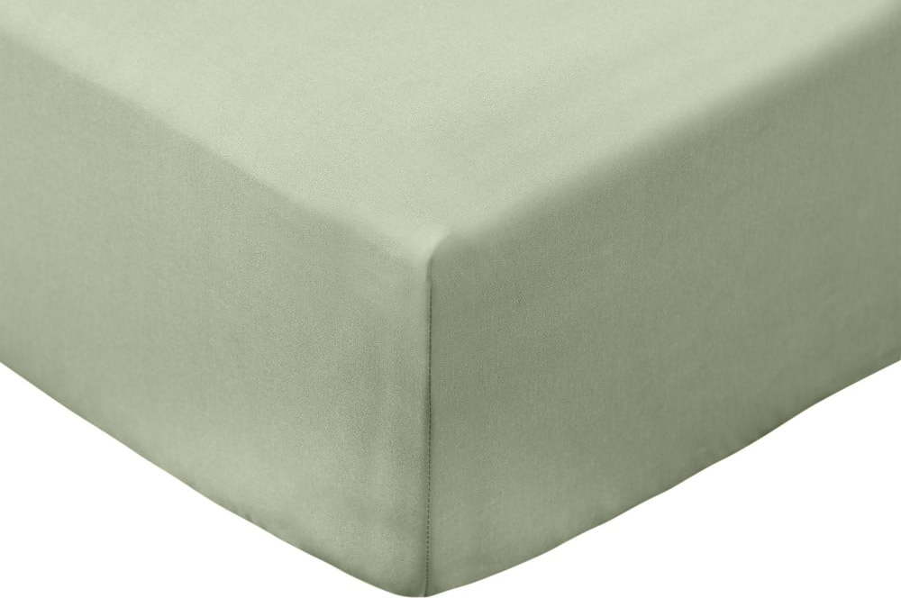 Zelené napínací prostěradlo z bavlněného perkálu 90x190 cm Cotton Percale – Bianca Bianca
